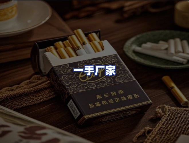 专业团队